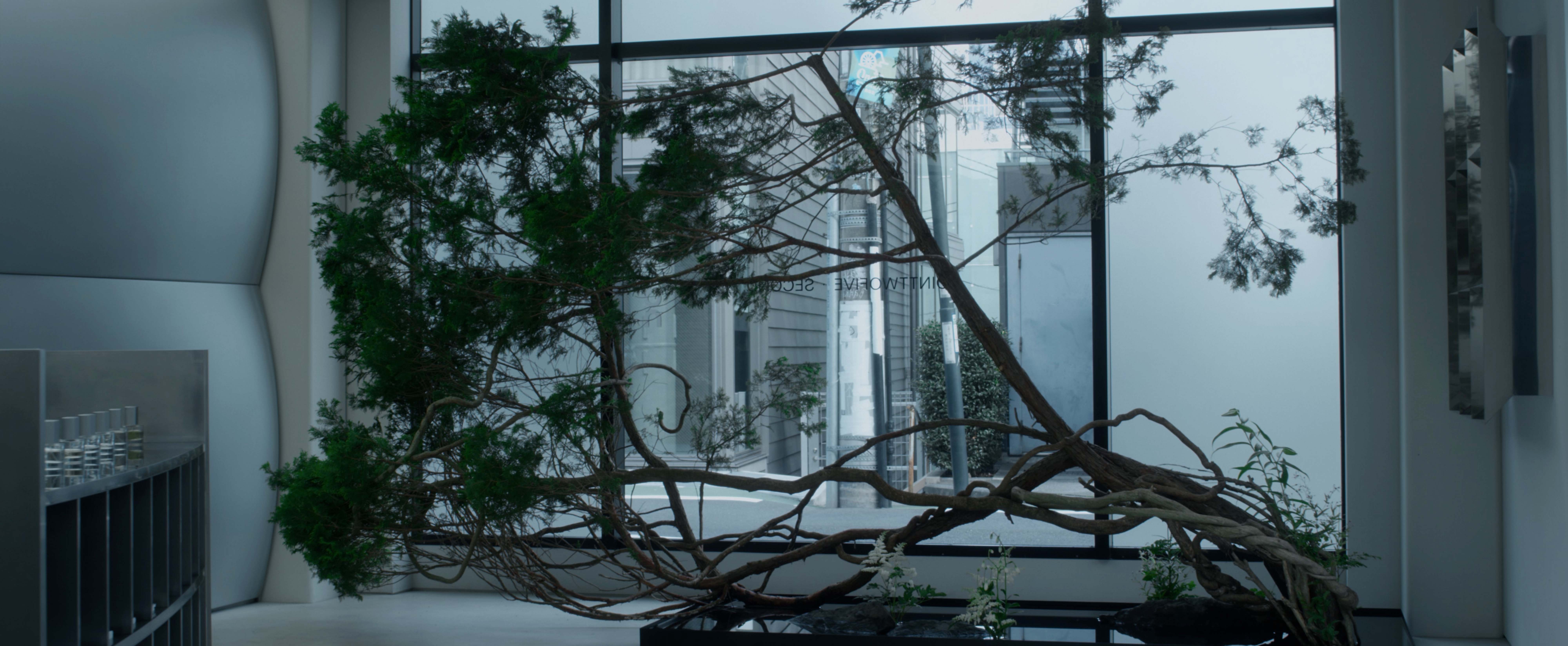 INSTALLATION 『DIALOGUE ― 対話』