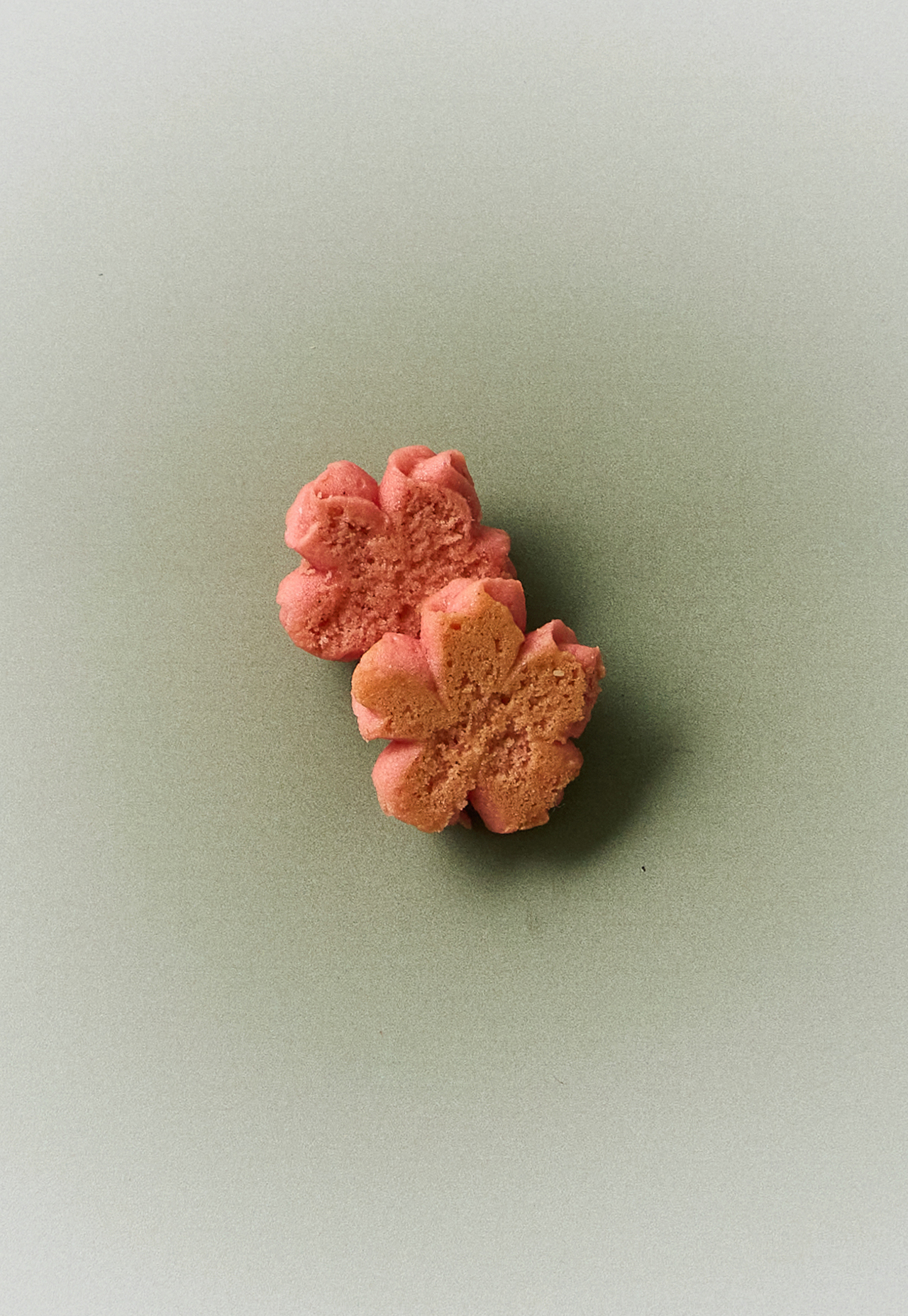 CHERRY BLOSSOM BEAN PASTE