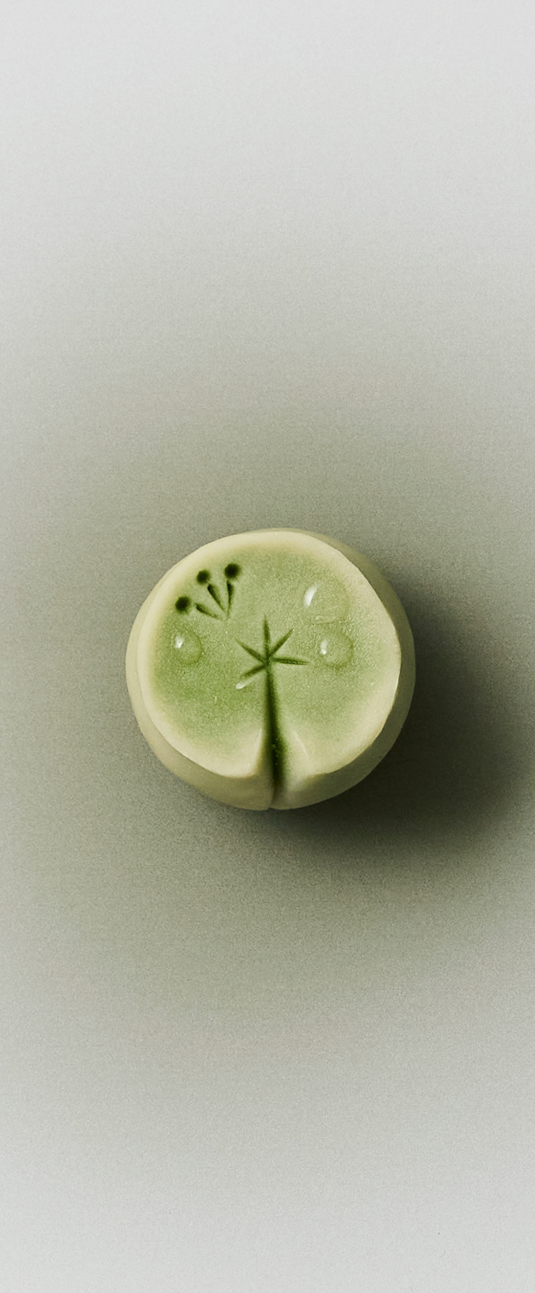 LOTUS LEAF & DEW BEAN PASTE